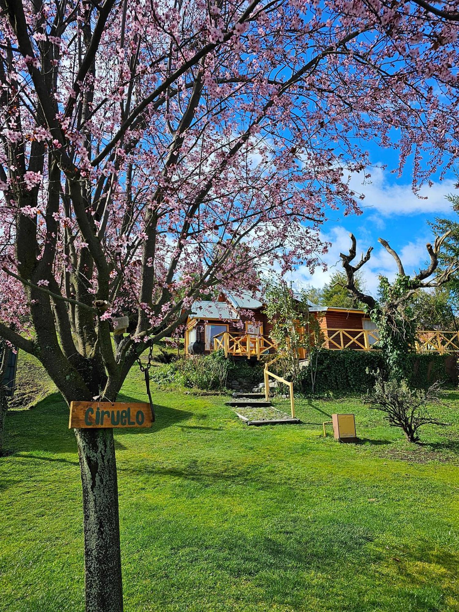 La Yaya - Villa Turismo Эль-Больсон Экстерьер фото